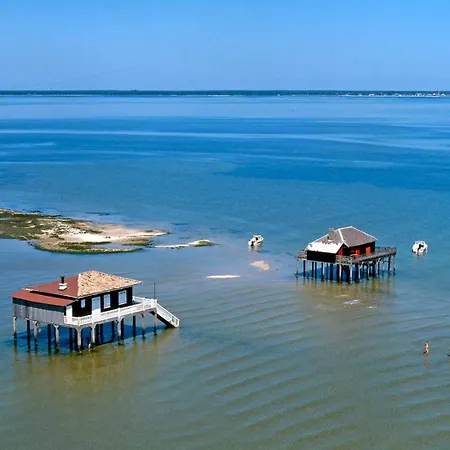 Magnifique Familiale Avec Jardin, Parking Prive, Proche Plages, Commerces, Gare, Jusqu'a 12 Pers Villa